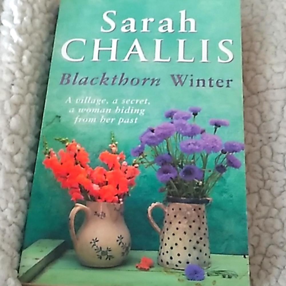 (10/$10) Blackthorn Winter by Sarah Challis